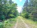 Augusta Land Real Estate