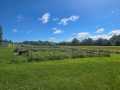 Prairie Farm Residential Real Estate