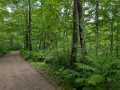 Birchwood Residential Real Estate
