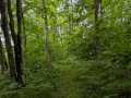 Birchwood Residential Real Estate