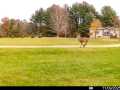 Hixton Residential Real Estate
