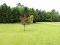 Hixton Residential Real Estate