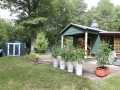 Webster Residential Real Estate