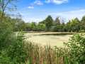 Chippewa Falls Residential Real Estate