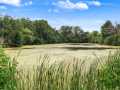 Chippewa Falls Residential Real Estate
