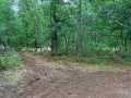 Trego Land Real Estate
