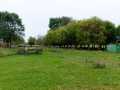 Barron Farm Real Estate