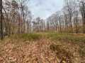 Birchwood Land Real Estate