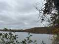 Birchwood Land Real Estate