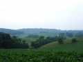 Mondovi Land Real Estate