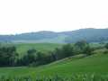 Mondovi Land Real Estate