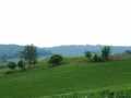 Mondovi Land Real Estate