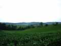 Mondovi Land Real Estate