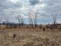 Eau Claire Land Real Estate