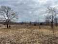 Eau Claire Land Real Estate