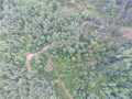 Gordon Land Real Estate