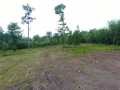 Gordon Land Real Estate
