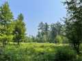 Property Photo 51