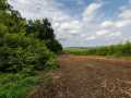 Mondovi Land Real Estate