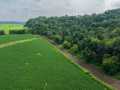 Mondovi Land Real Estate