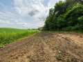 Mondovi Land Real Estate