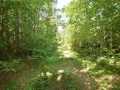 Danbury Residential Real Estate