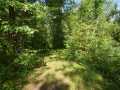 Danbury Residential Real Estate