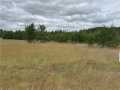 Augusta Land Real Estate