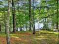 Ladysmith Residential Real Estate
