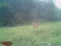 Property Photo 50