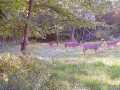 Property Photo 52
