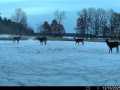 Fall Creek Residential Real Estate