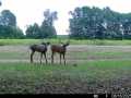 Fall Creek Residential Real Estate