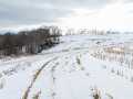 Alma Land Real Estate