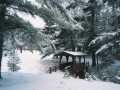 Danbury Residential Real Estate