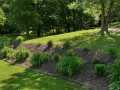 Downing Residential Real Estate