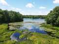 Birchwood Residential Real Estate
