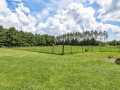 Fall Creek Residential Real Estate