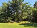 New Auburn Residential Real Estate