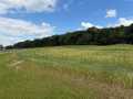 Eau Claire Land Real Estate