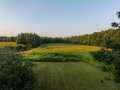 Gilman Residential Real Estate