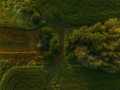 Gilman Residential Real Estate