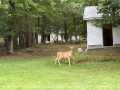 Eau Claire Residential Real Estate