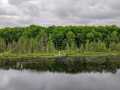 Stone Lake Residential Real Estate