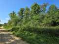 Eleva Land Real Estate