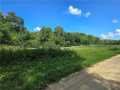 Eleva Land Real Estate
