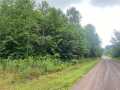 Butternut Land Real Estate