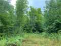 Butternut Land Real Estate