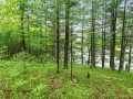 Cumberland Residential Real Estate