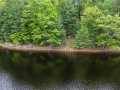 Cumberland Residential Real Estate